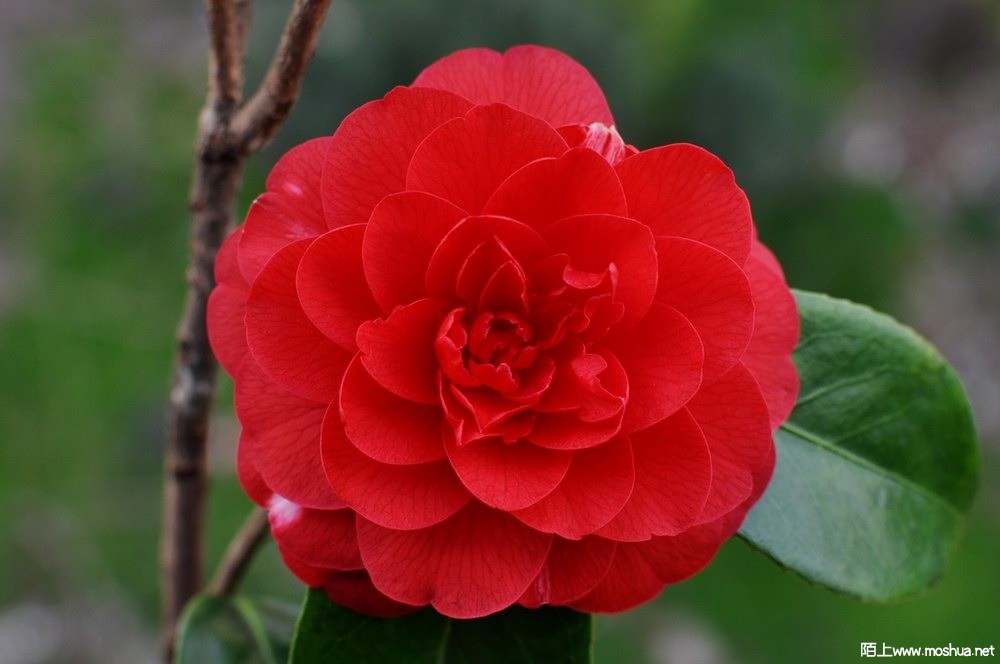 ����ս���� (21).JPG