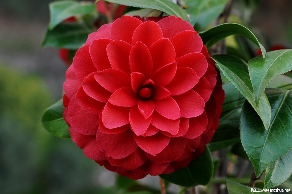 ���±��� (100).JPG