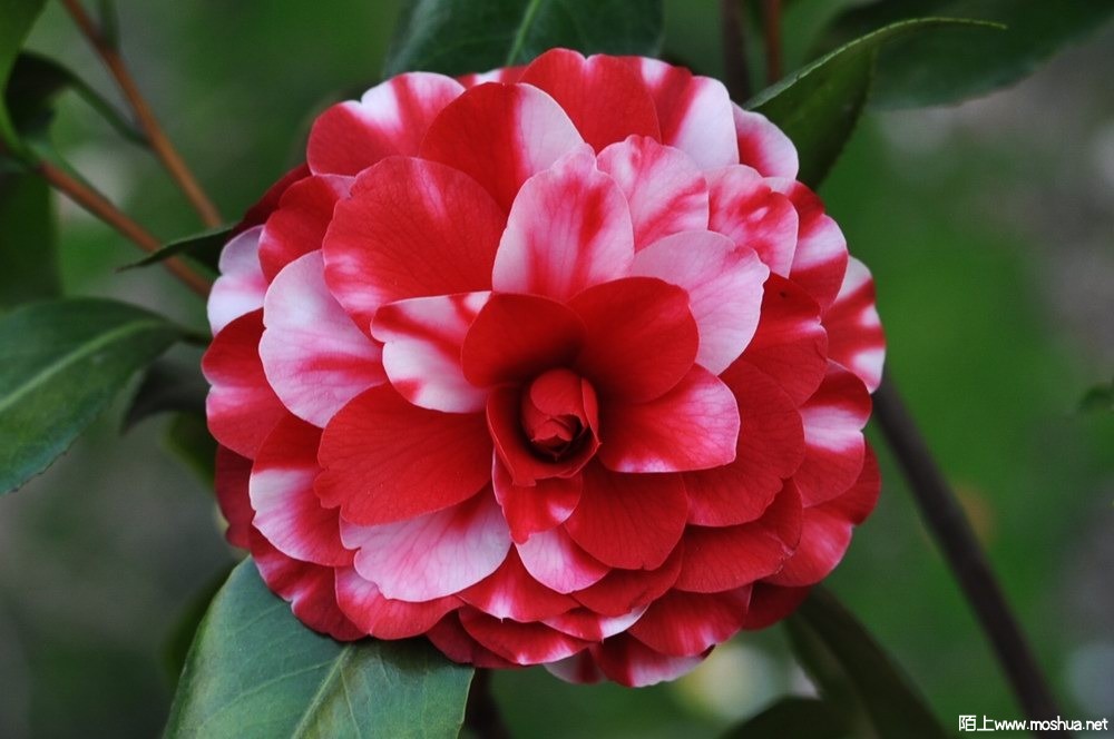 ���±��� (94).JPG