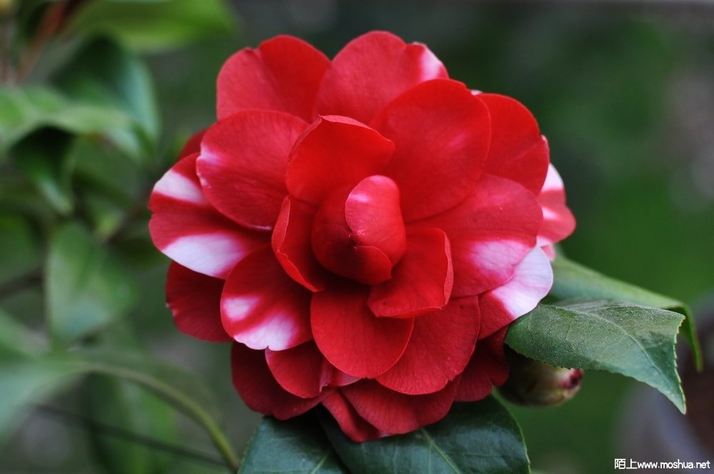 ���±��� (111).JPG