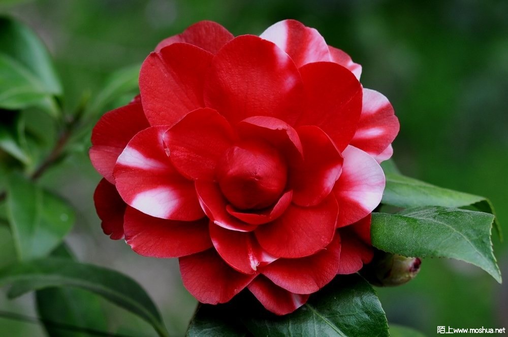 ���±��� (110).JPG