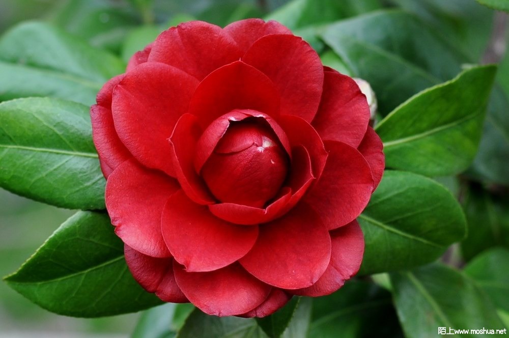 ���±��� (108).JPG