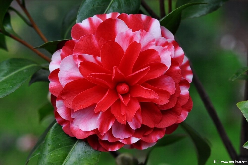 ���±��� (102).JPG