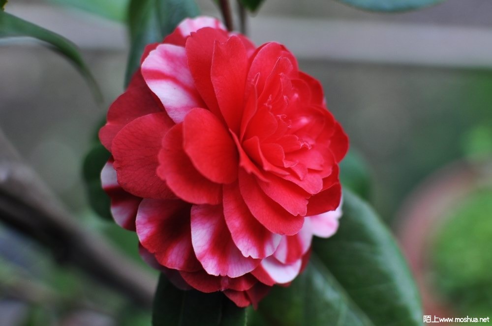 ���±��� (116).JPG