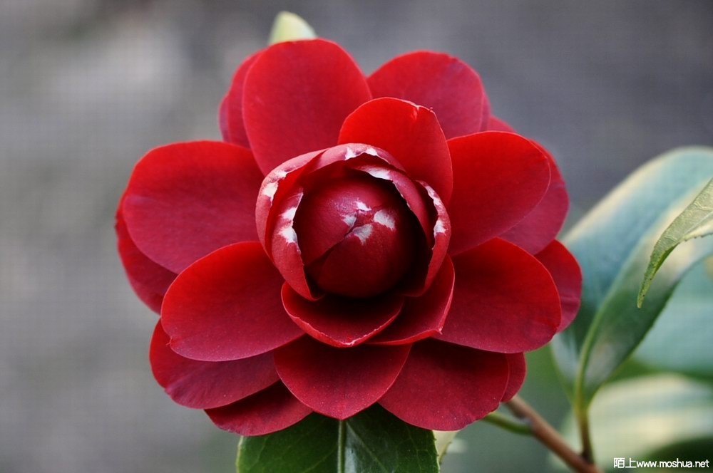 ���±��� (115).JPG