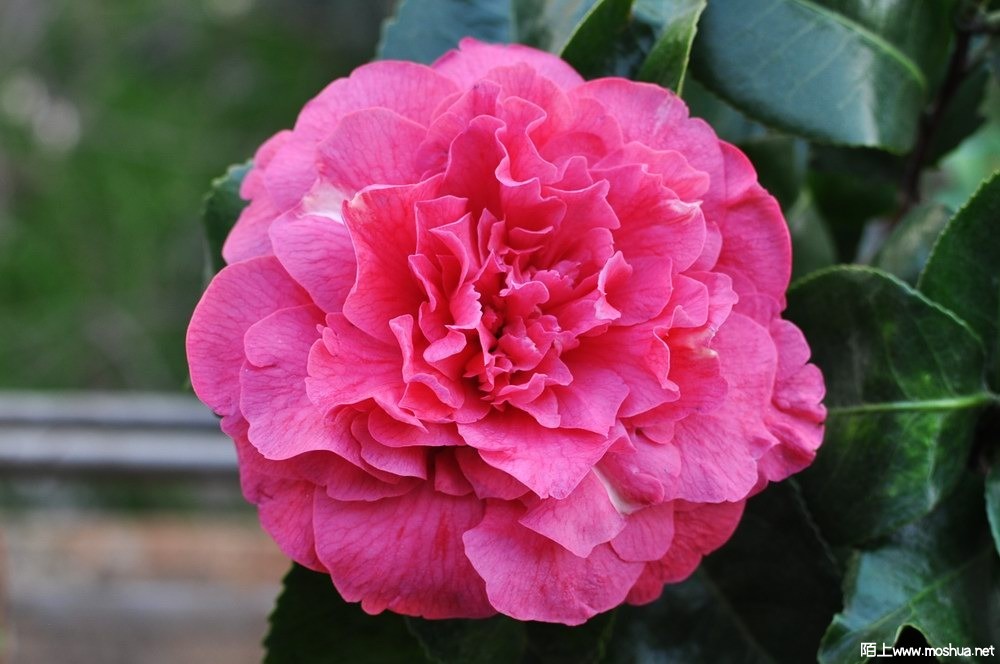 ���֮�� (14).JPG