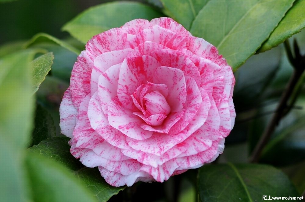 �ɱ��� (4).JPG