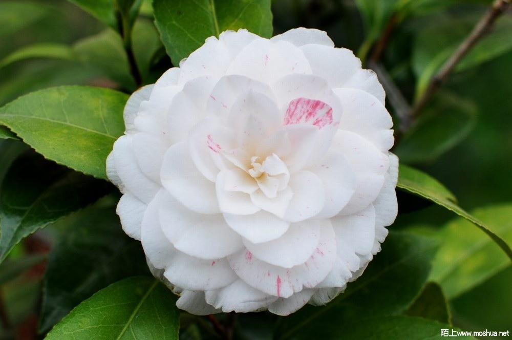 �ɱ��� (24).JPG