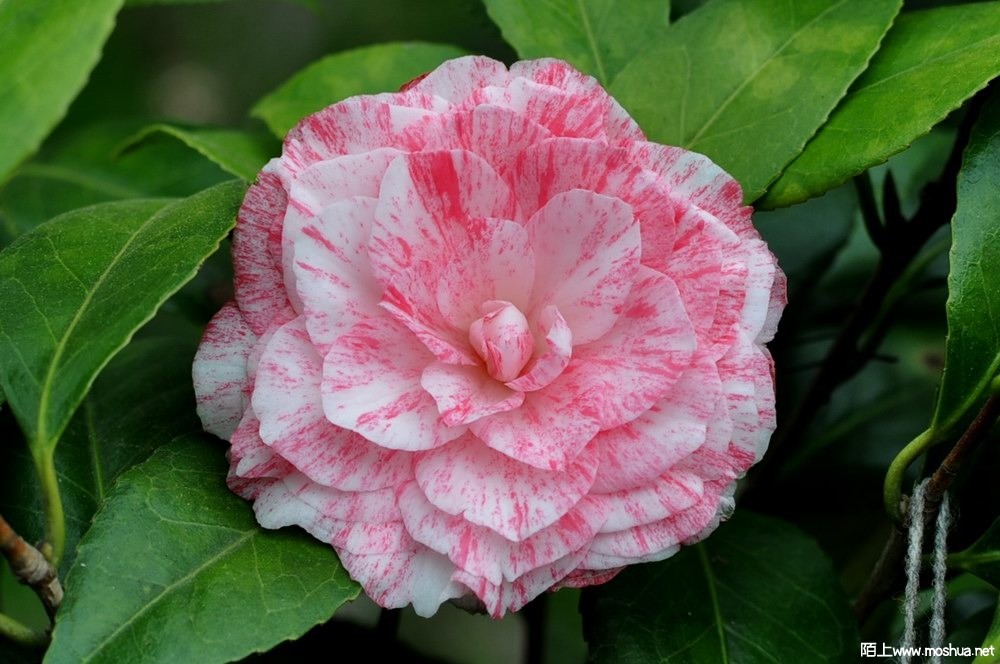 �ɱ��� (9).JPG