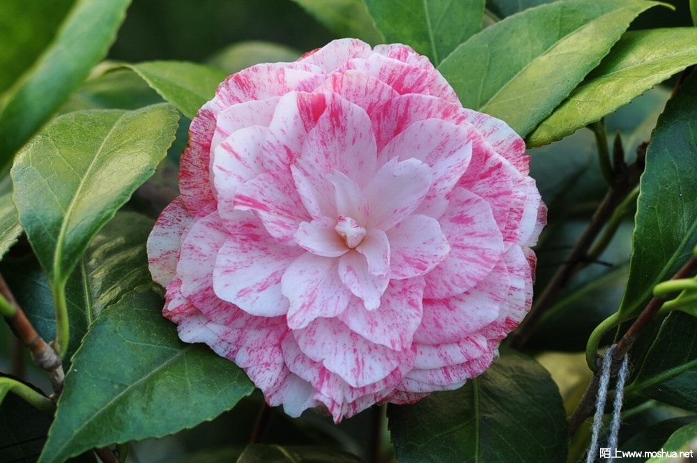 �ɱ��� (17).JPG