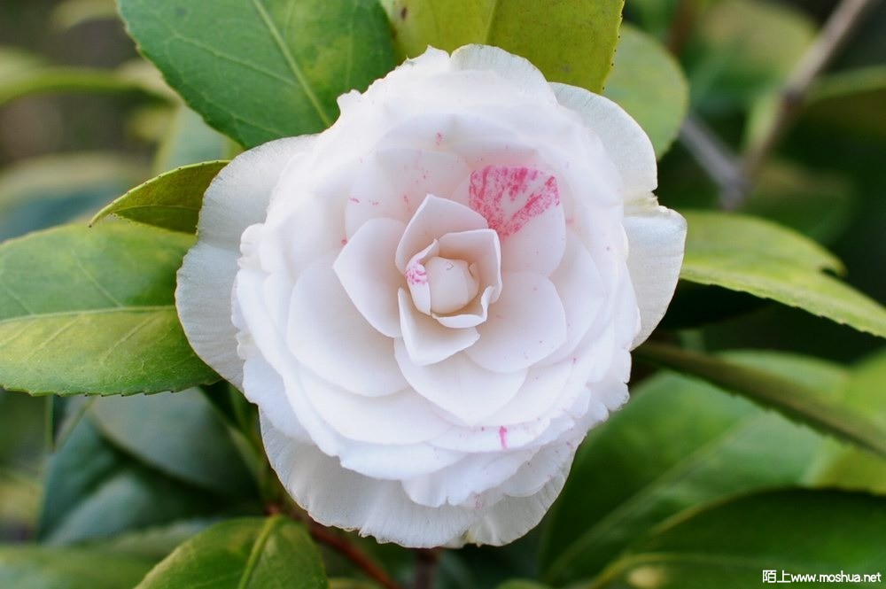 �ɱ��� (19).JPG