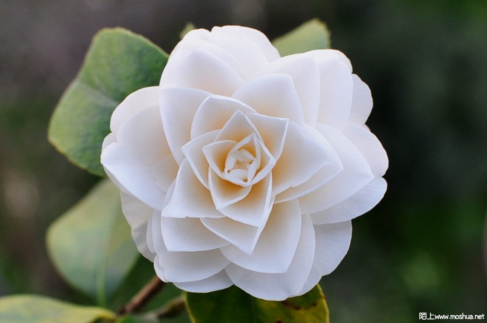 �tƨ�� (21).JPG