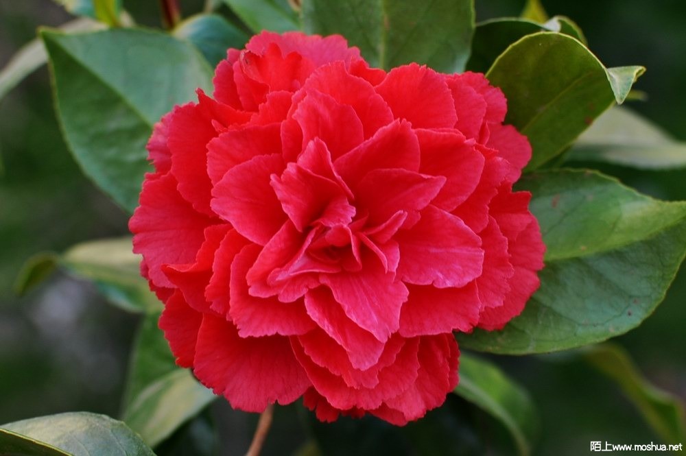 ���� (7).JPG