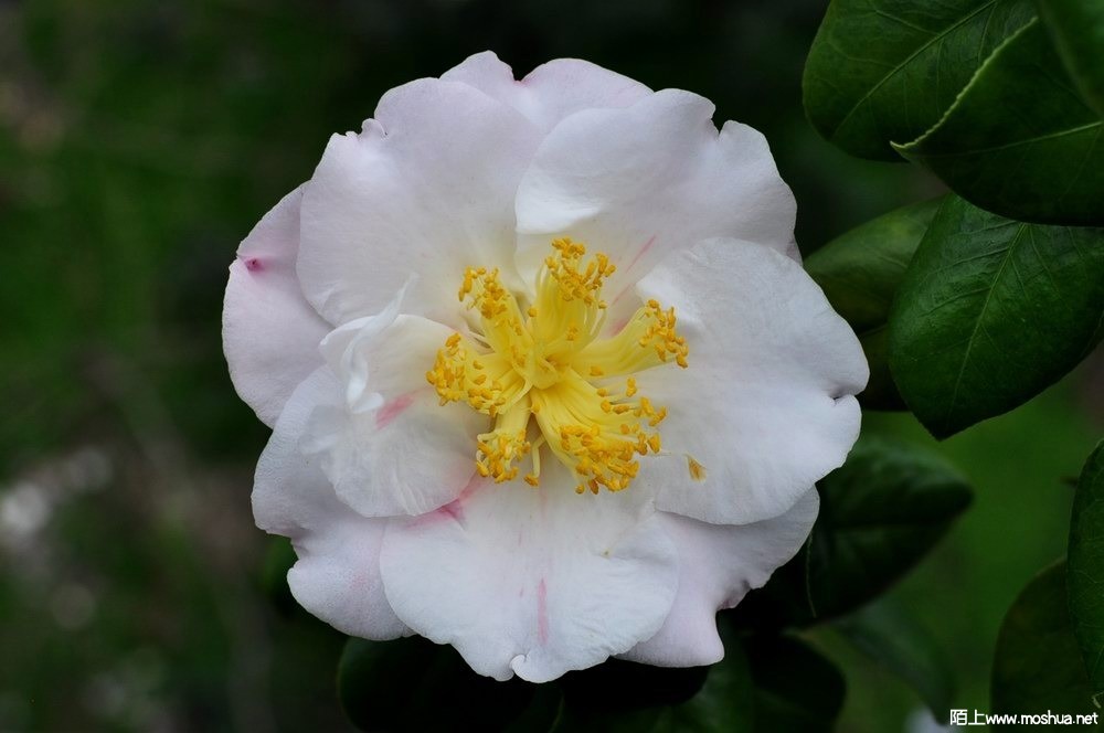 ���ж����� (14).JPG