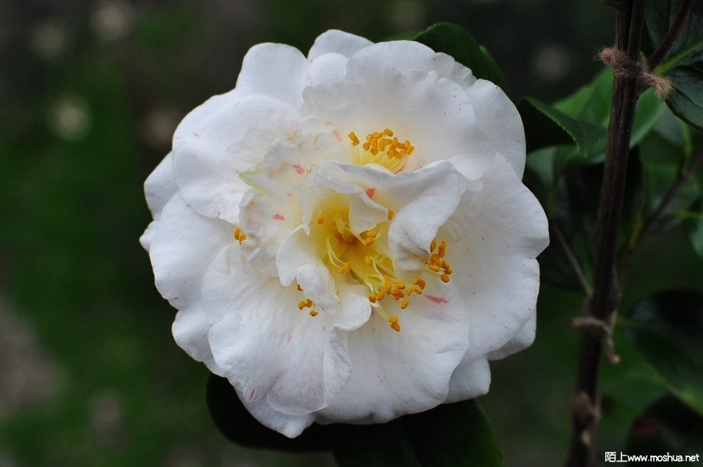 ��Ů�� (21).JPG