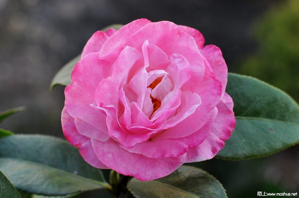 ɪ����-��� (69).JPG