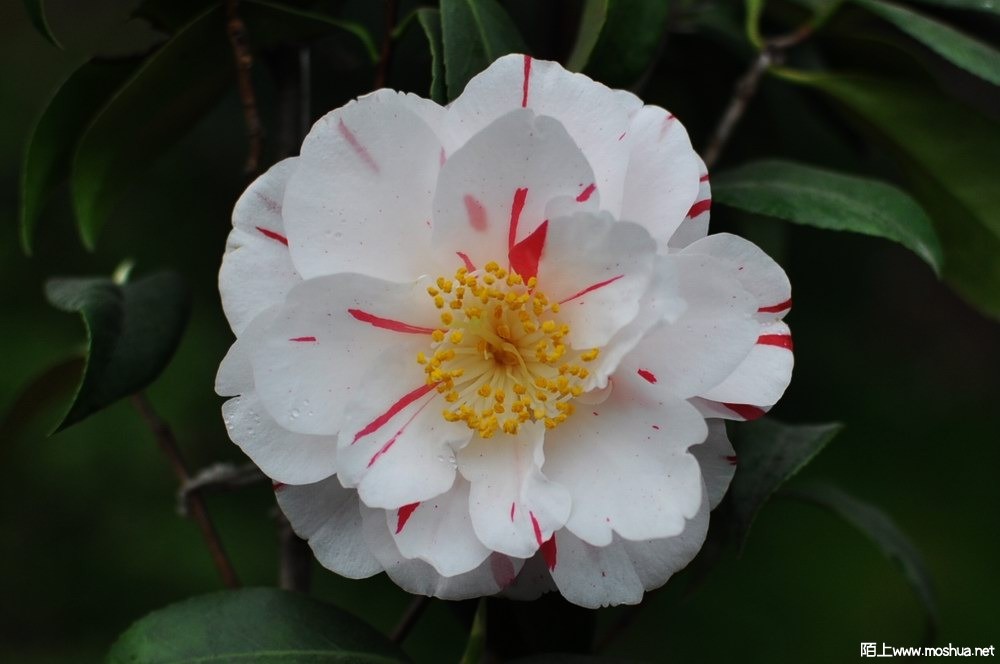 ���� (39).JPG