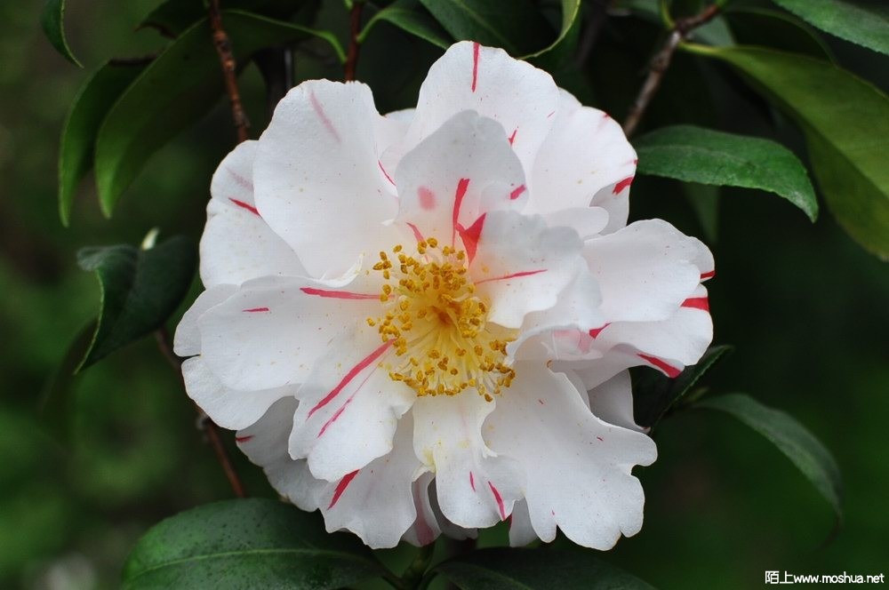 ���� (47).JPG