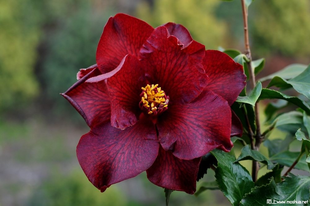 ���޺� (58).JPG