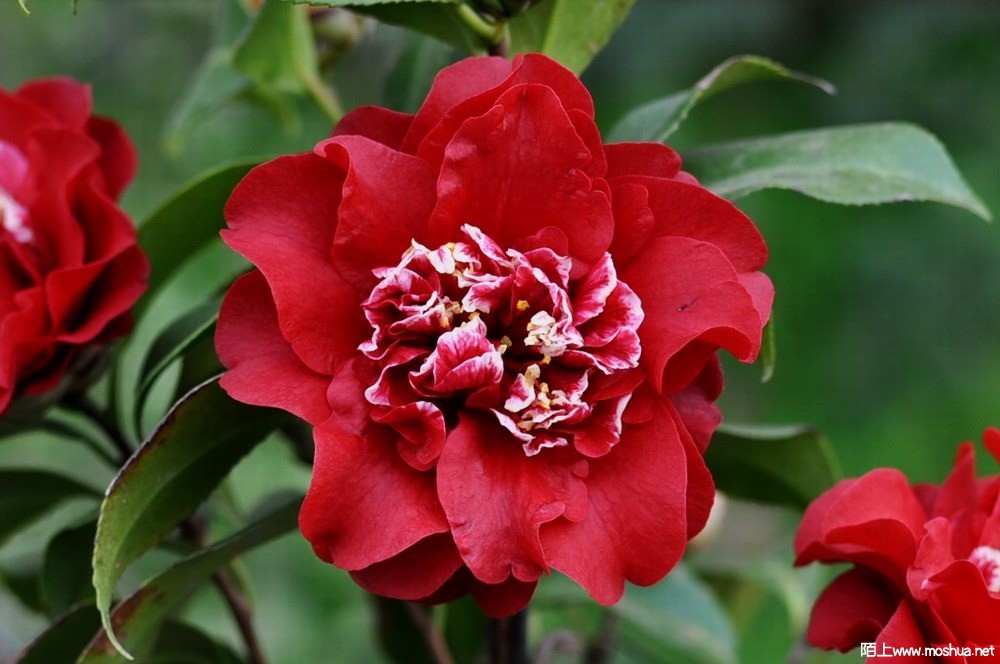 ӣ�Ҽѽ� (34).JPG