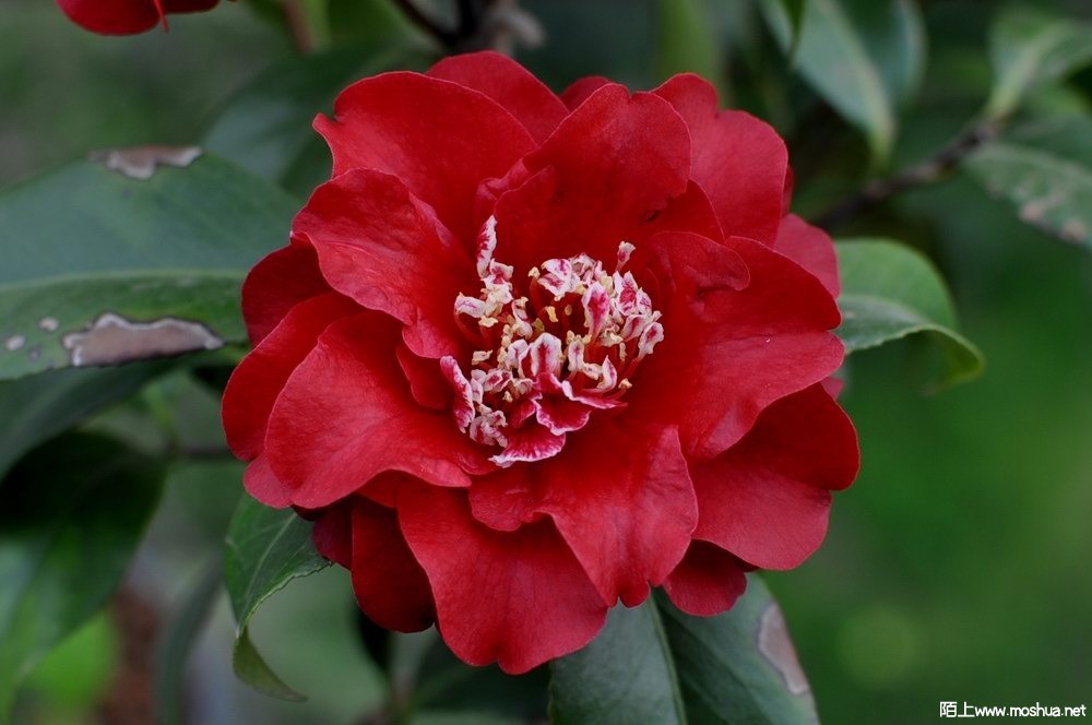 ӣ�Ҽѽ� (31).JPG