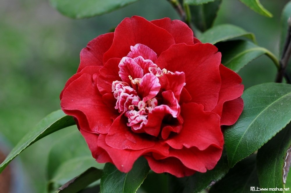 ӣ�Ҽѽ� (38).JPG