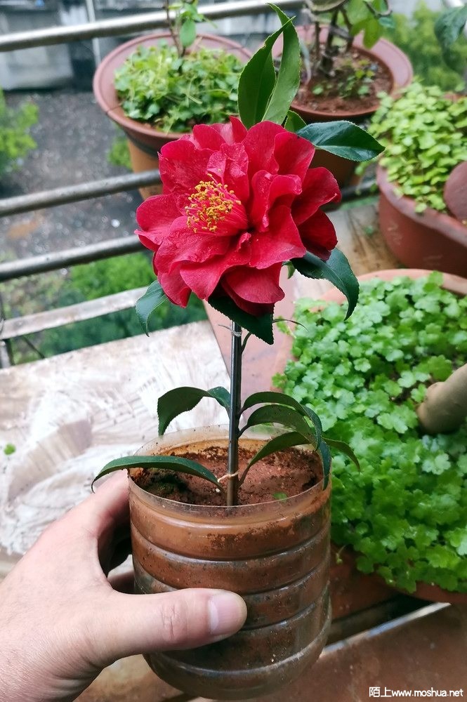 ӣ�Ҽѽ� (16).jpg