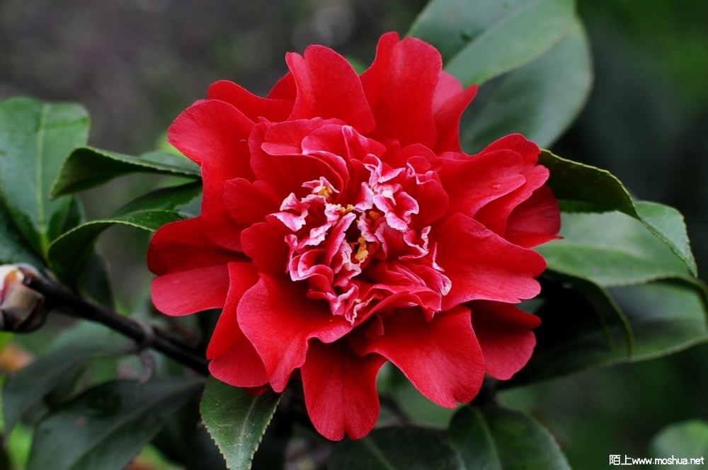 ӣ�Ҽѽ� (56).JPG