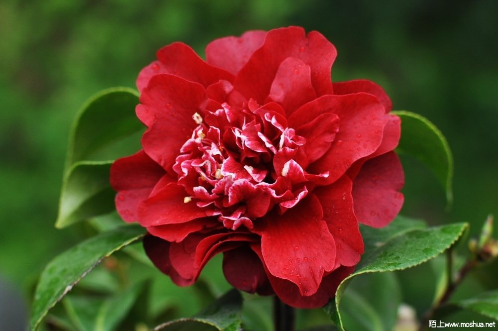 ӣ�Ҽѽ� (58).JPG