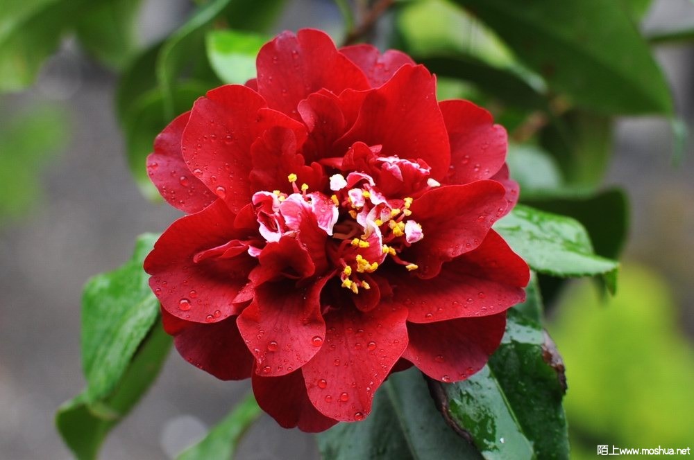 ӣ�Ҽѽ� (60).JPG