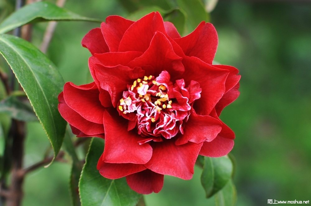 ӣ�Ҽѽ� (62).JPG