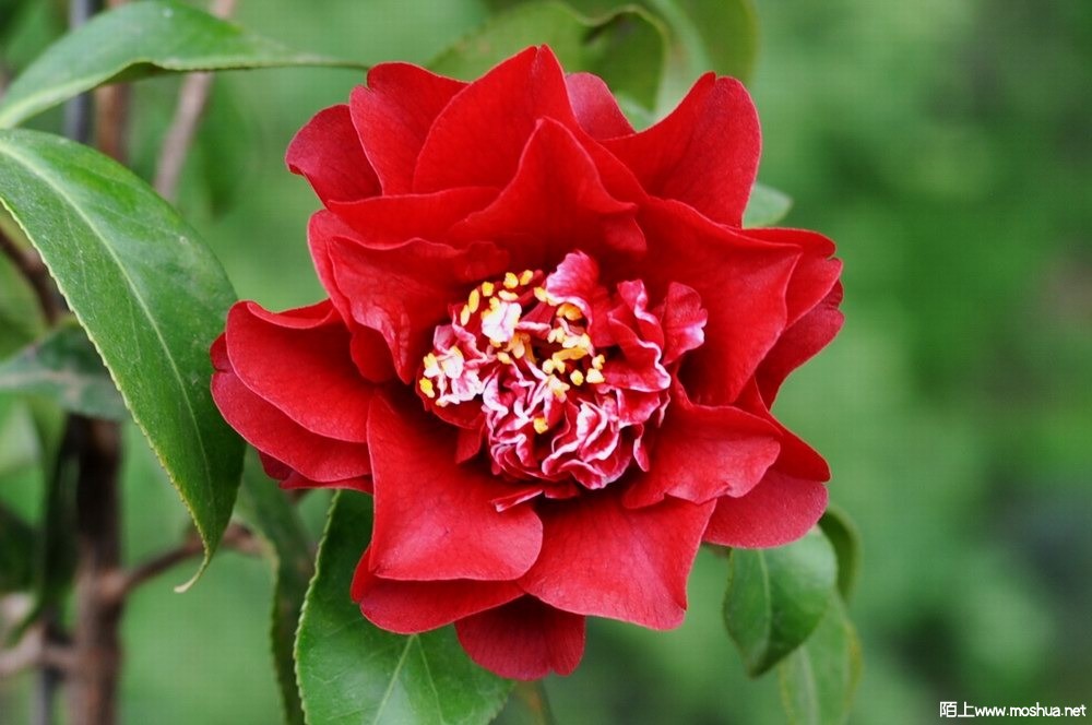 ӣ�Ҽѽ� (63).JPG