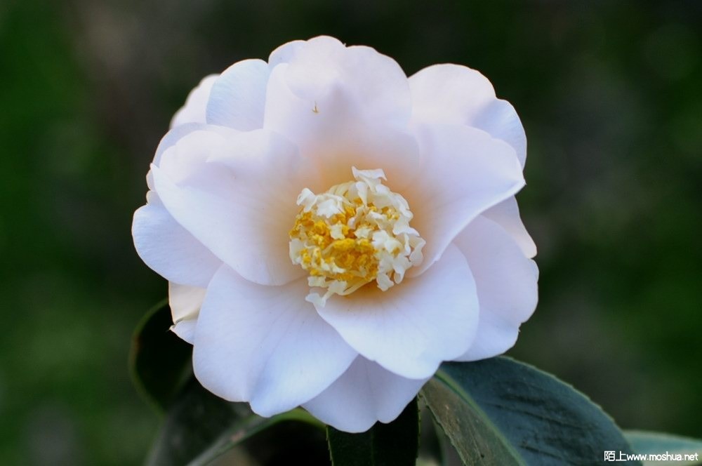 ������ (3).JPG