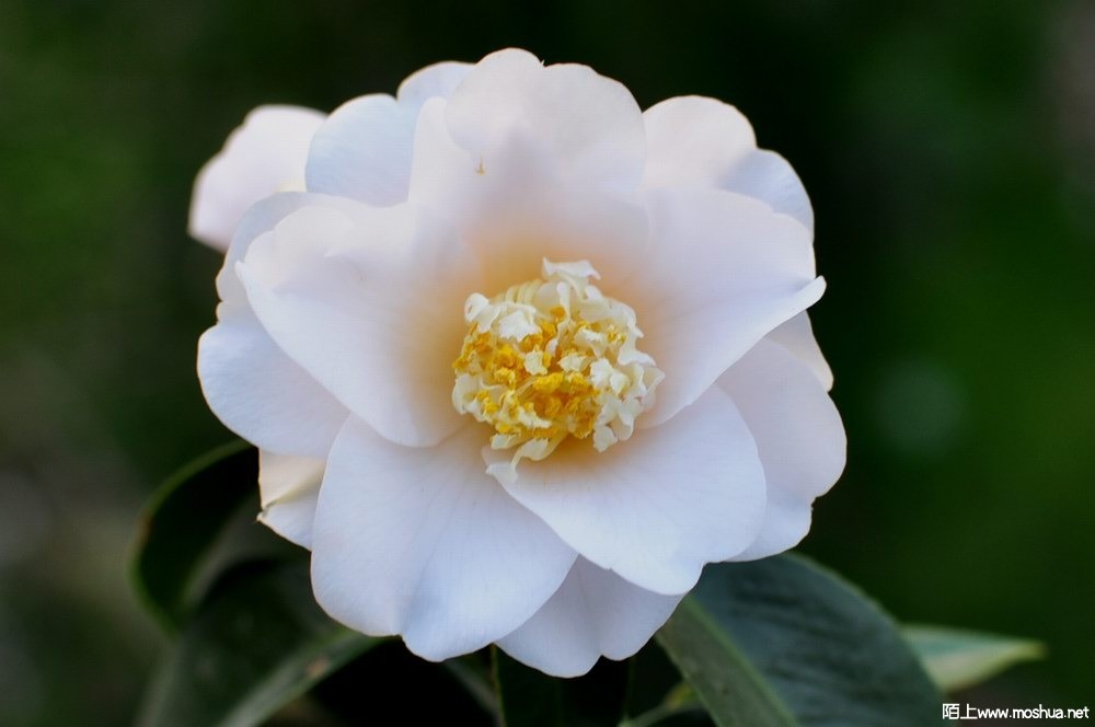 ������ (5).JPG