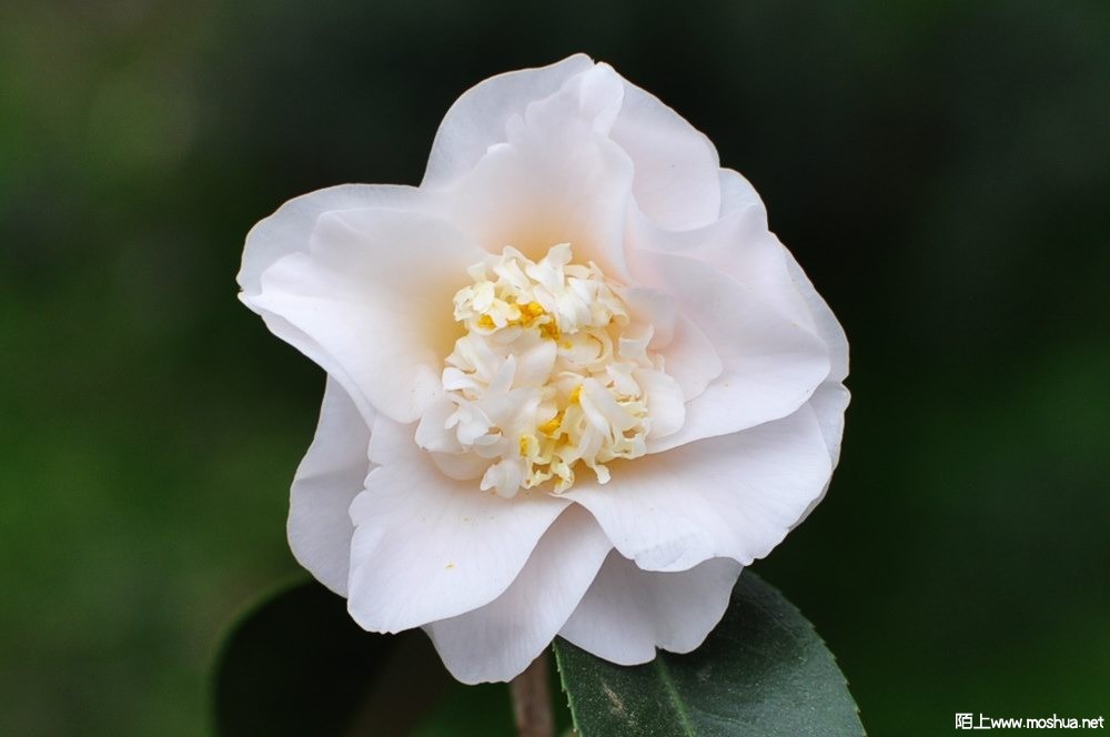 ������ (14).JPG