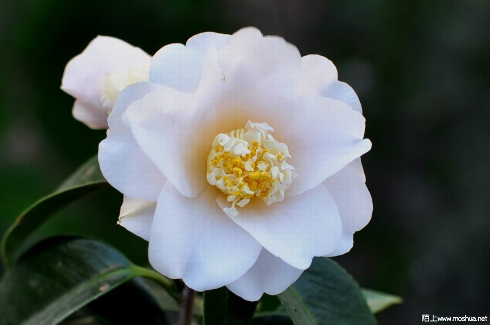 ������ (8).JPG