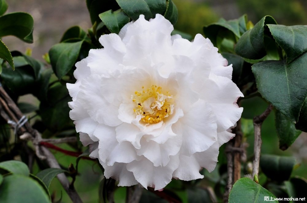 ����ë--ü�д��� (59).JPG