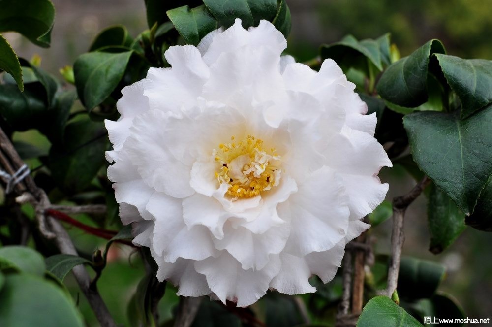 ����ë--ü�д��� (55).JPG