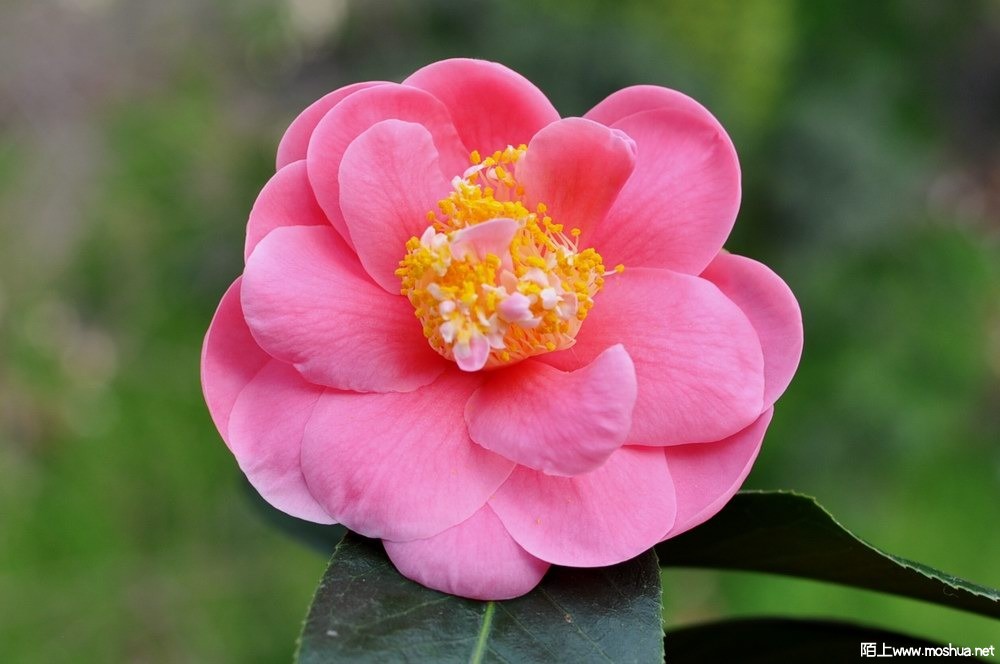 ��ĵ�� (3).JPG