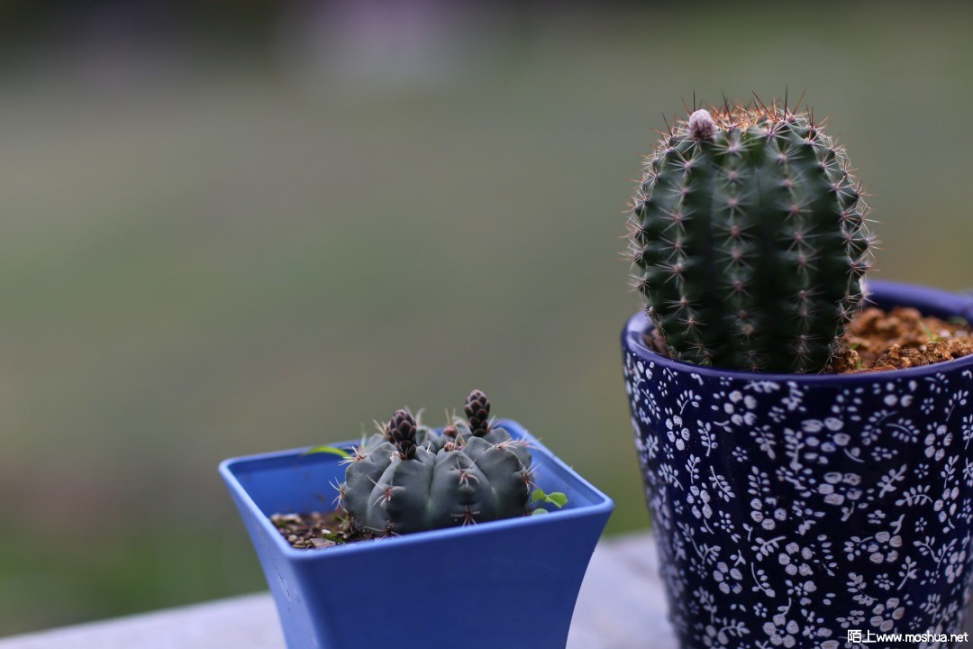 2021-04-24 120104.jpg