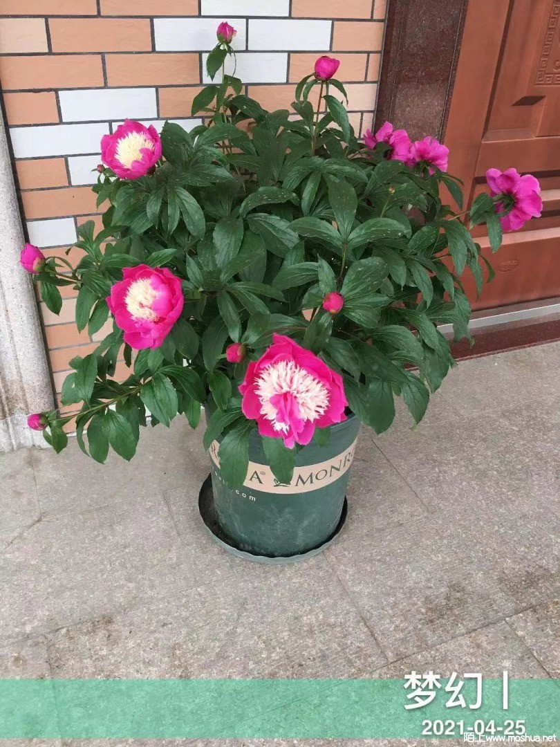 ΢��ͼƬ_20210425095915.jpg