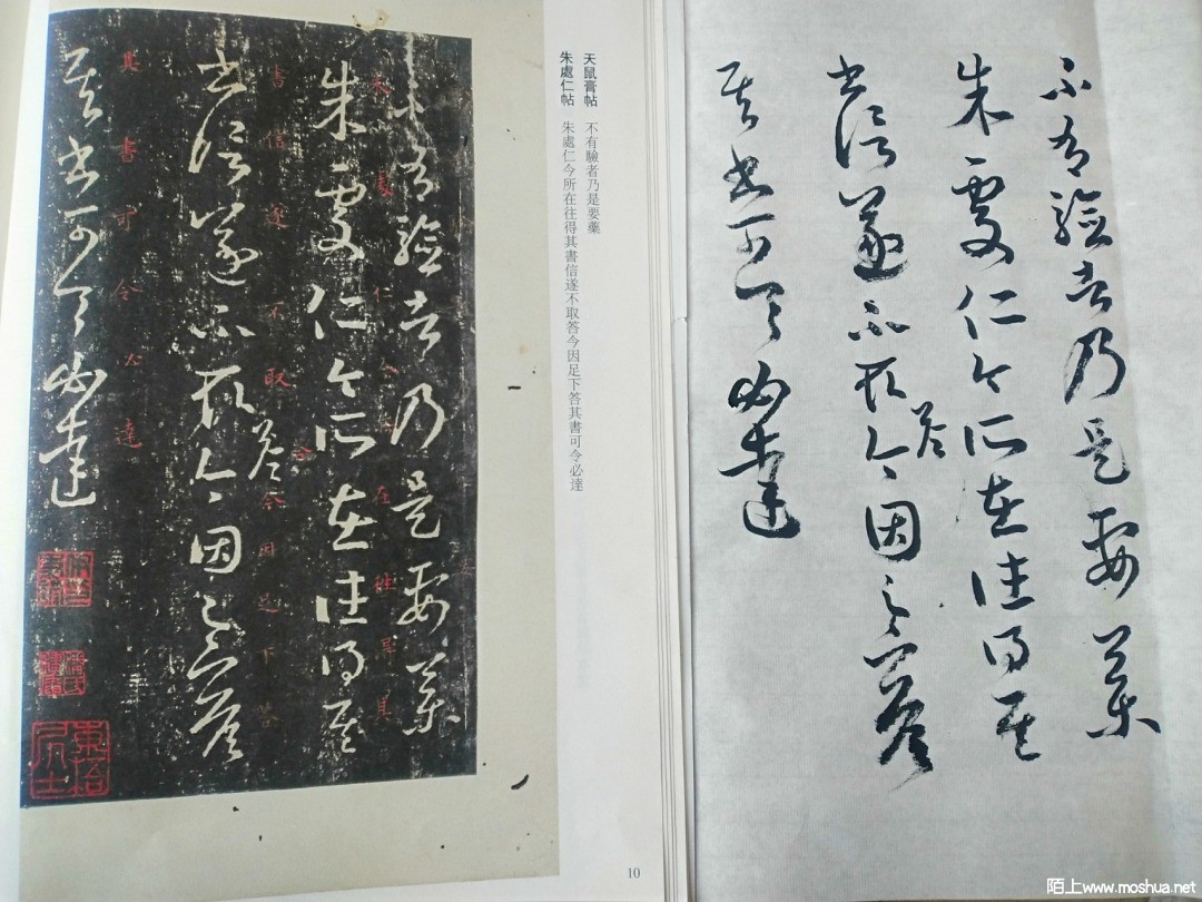 IMG_20210430_063317.jpg
