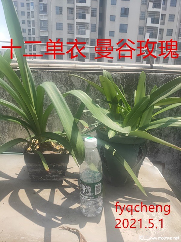IMG20210501134840.jpg