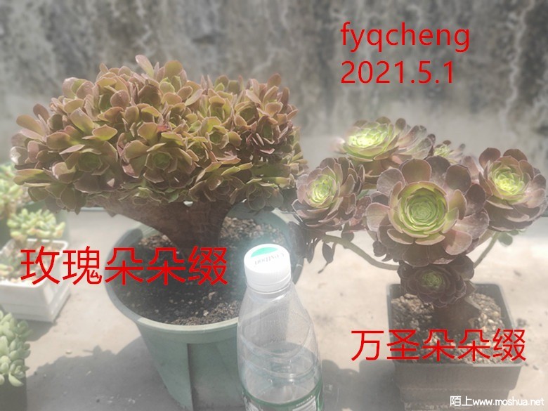 IMG20210501135006.jpg