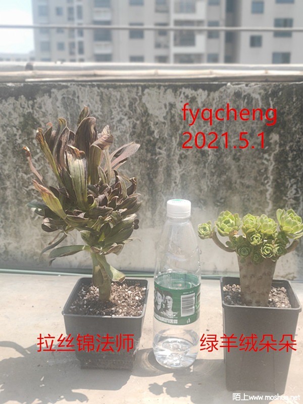 IMG20210501135233.jpg