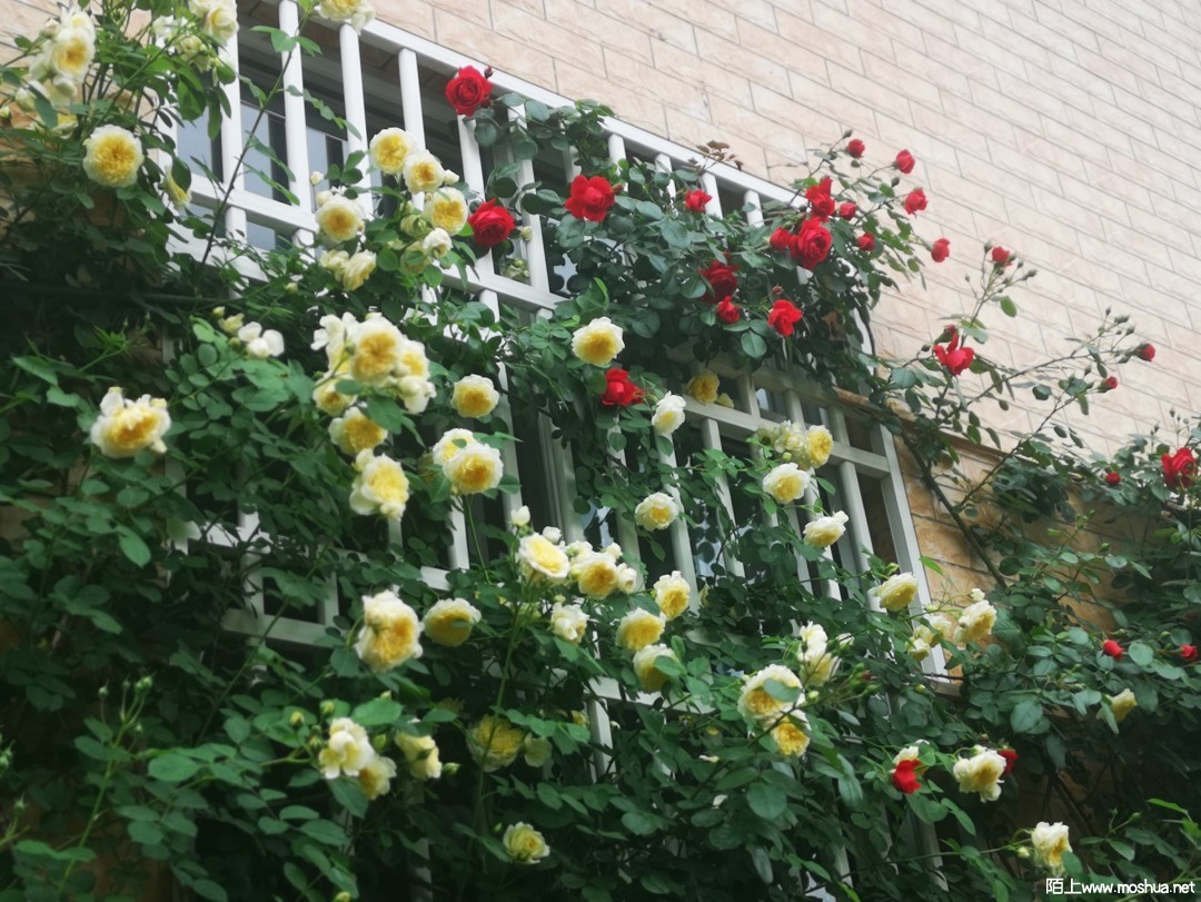 ΢��ͼƬ_20210507101631.jpg