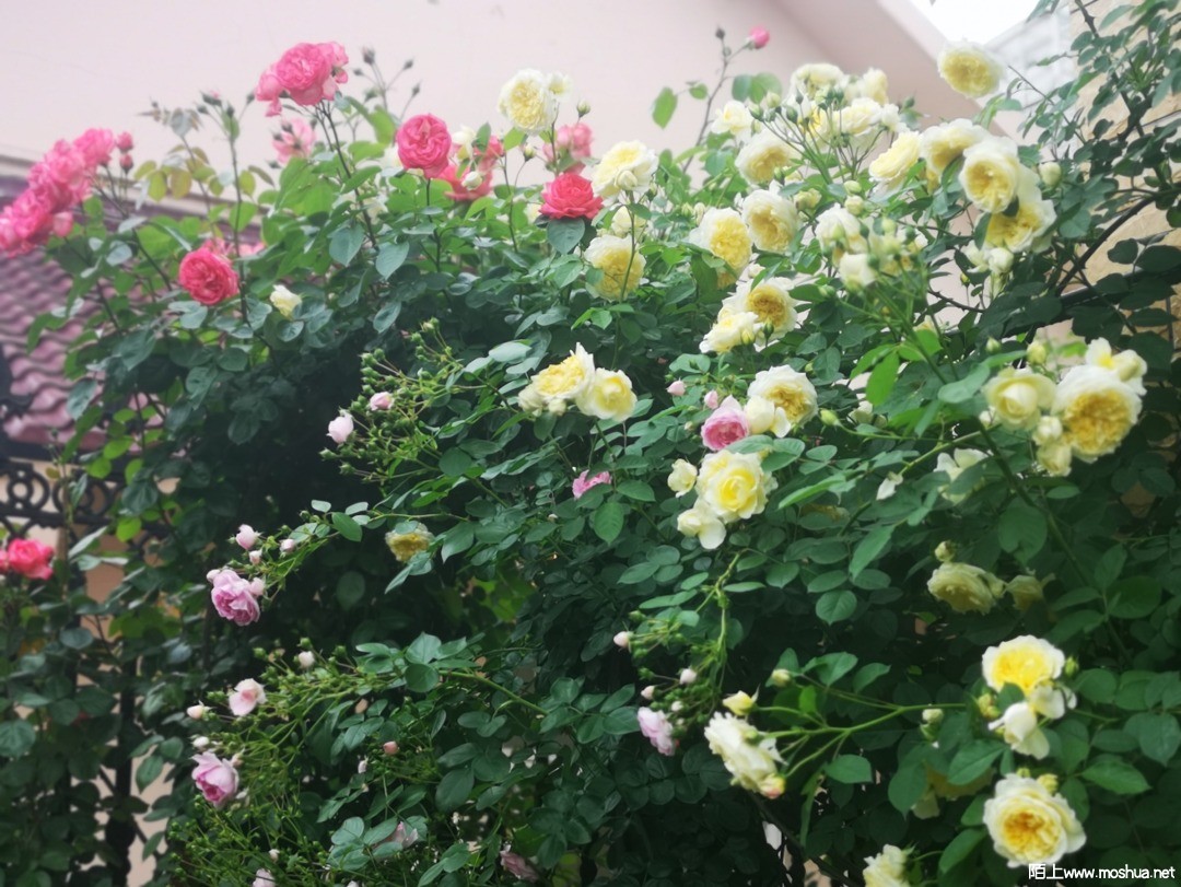 ΢��ͼƬ_20210507101637.jpg