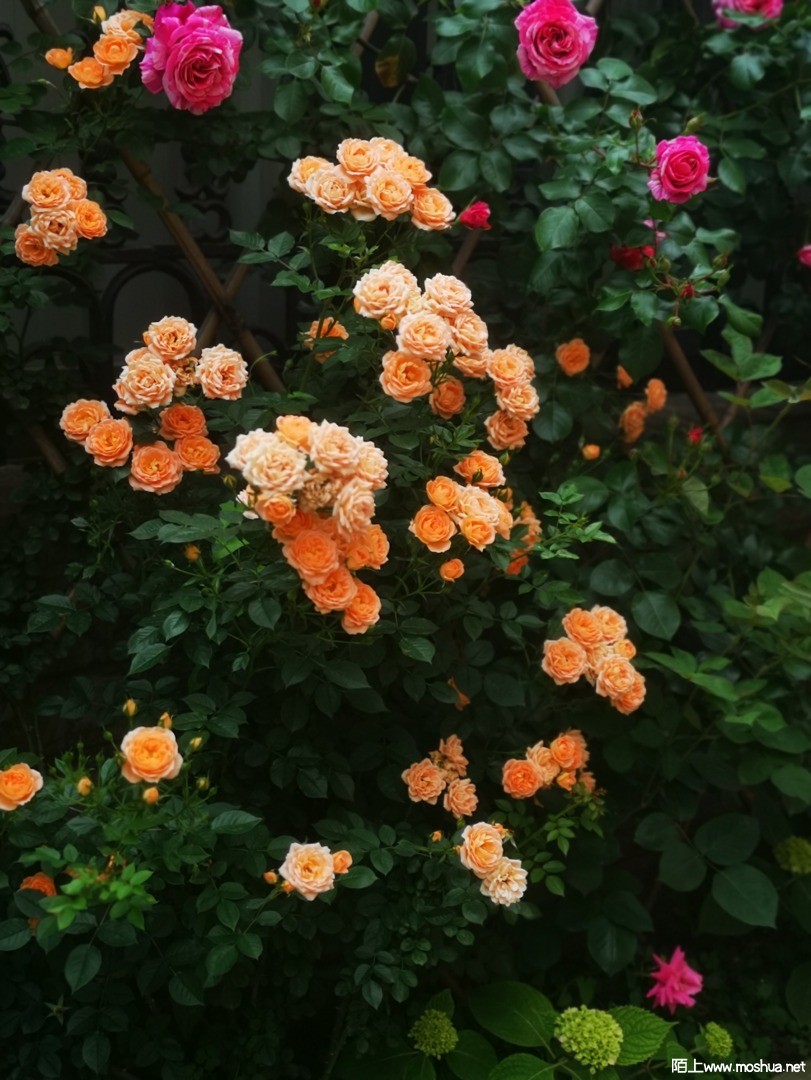 ΢��ͼƬ_20210507101550.jpg
