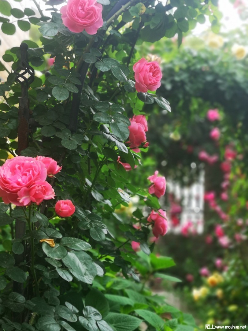 ΢��ͼƬ_20210507101626.jpg