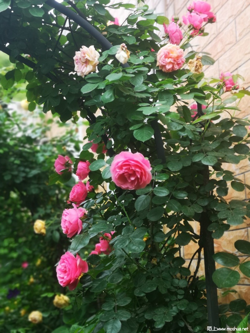΢��ͼƬ_20210507101628.jpg